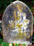 image of grave number 437844